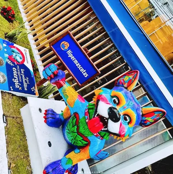 imagen del proyecto Hiper Mascota